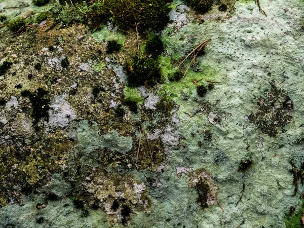 Prachtige kleurrijke textuur van natuursteen. — Stockfoto