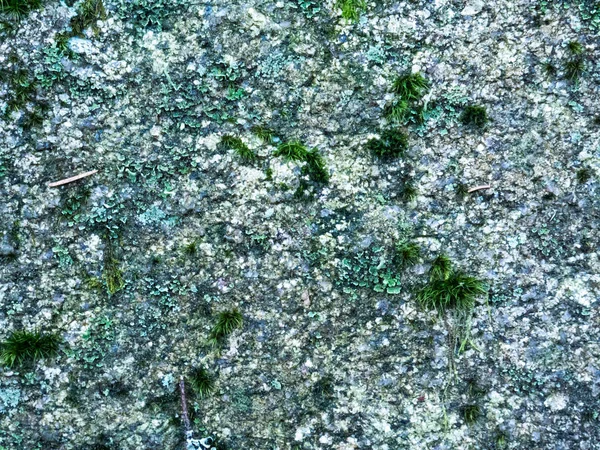 Indah warna-warni tekstur batu alami . — Stok Foto