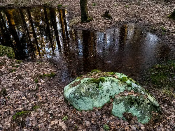 Велика кількість води тане після зими . — стокове фото