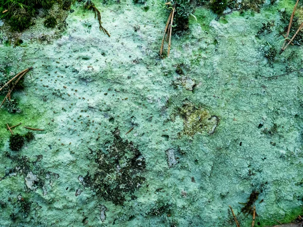 Hermosa textura colorida de piedra natural . — Foto de Stock