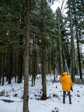Parlak sarı ceketli adam. Doğa Ormanı.