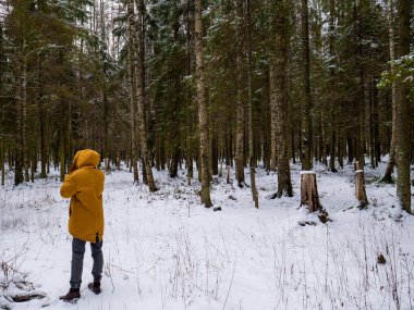 Parlak sarı ceketli adam. Doğa Ormanı.