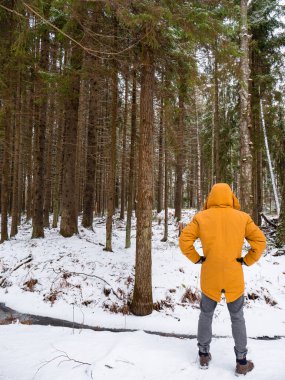 Parlak sarı ceketli adam. Doğa Ormanı.