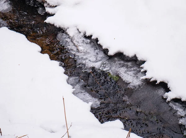 Floresta de Inverno. A neve branca jaz no chão . — Fotografia de Stock
