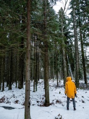 Parlak sarı ceketli adam. Doğa Ormanı.