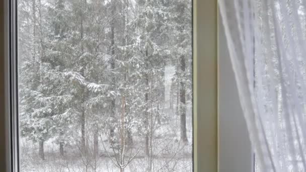 Nevadas fuera de la ventana y un bosque de invierno. — Vídeos de Stock