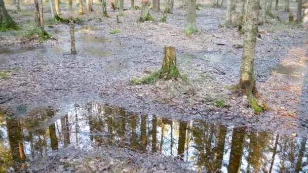 Een grote hoeveelheid water smolt na de winter. — Stockvideo