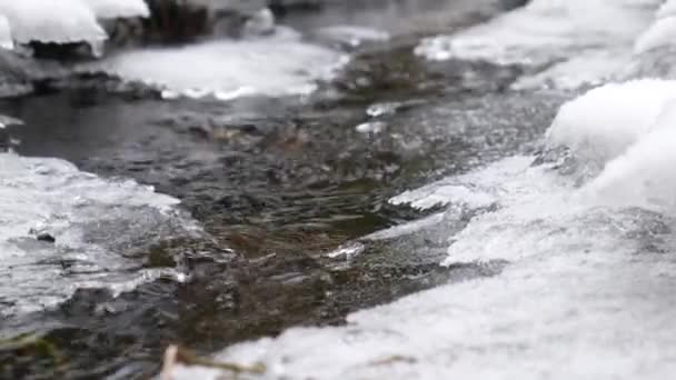 Een Stroom Die Zich Een Weg Baant Door Ijskorst Het — Stockvideo