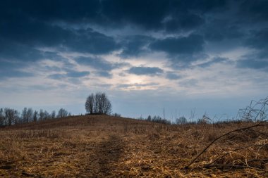 Dağda duran yalnız bir ağaç ve ona giden yol. Çevredeki sarı tarla ve uzaktaki orman. Genişlemelerin, doğanın, temiz havanın vücut bulmuş hali. Özgürlük, sükunet.