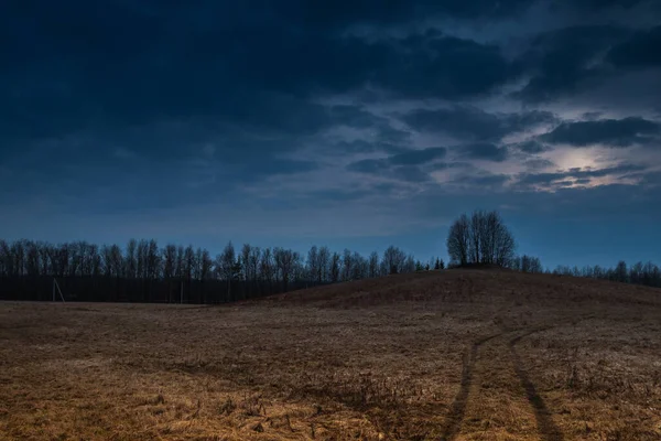 Osamělý Strom Stojící Hoře Cesta Která Němu Vede Žluté Pole — Stock fotografie