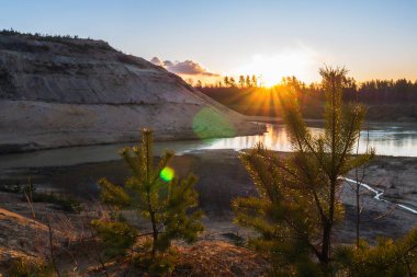 Gün batımına karşı ladin dalları ve gölleri. Turuncu bir günbatımının arka planına karşı sakin bir göl..