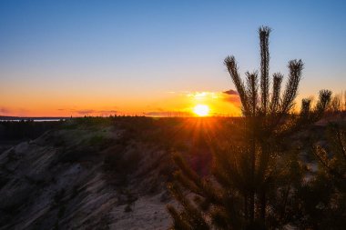 Gün batımına karşı büyük obez bulutlar. Ormanda gün batımı, kozalaklı ağaçların üzerinde, Noel ağaçları. Kırmızı turuncu ile güzel gün batımı.