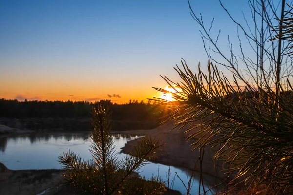 Sunset Backdrop Spruce Branches Lakes Calm Lake Backdrop Orange Sunset — Stock Photo, Image