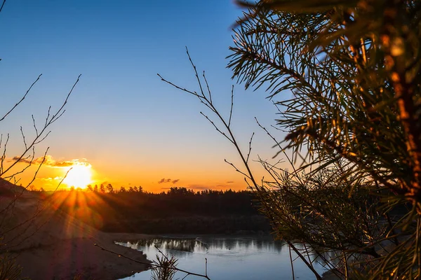 Sunset Backdrop Spruce Branches Lakes Calm Lake Backdrop Orange Sunset — Stock Photo, Image