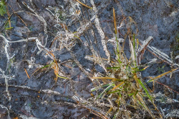 Het water is bevroren in de mth. IJs met gras. — Stockfoto