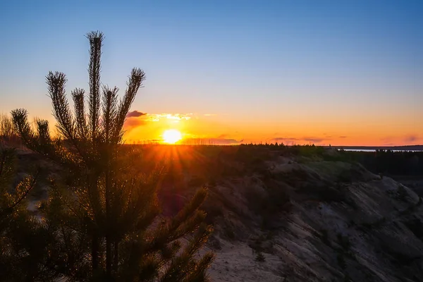 Sunset Trees Filmed Forest Beautiful Red Sunset Trees Large Cloud — Stock Photo, Image