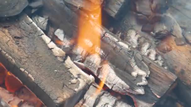 Een brandend vuur en zwarte resten van brandhout. — Stockvideo