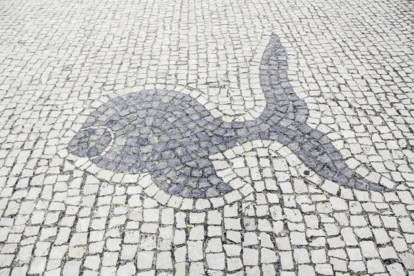 Fish urban land — Stock Photo, Image