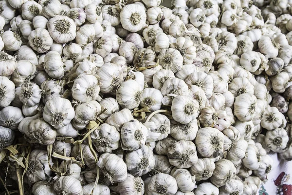 Fresh garlic on a market — Stock Photo, Image