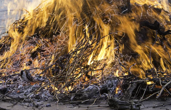 Bonfire campfire embers — Stock Photo, Image