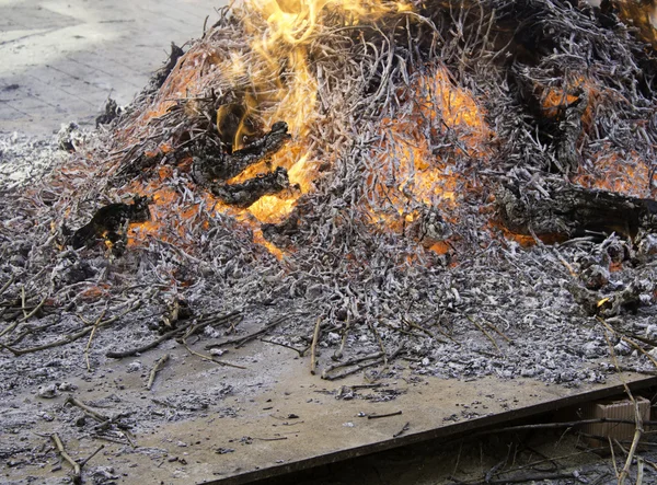 Lagerfeuer glüht — Stockfoto