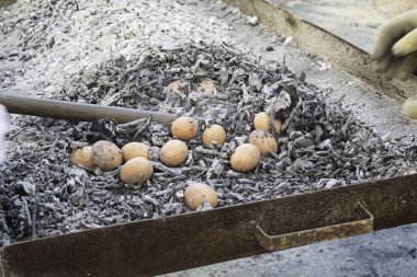 Kavrulmuş haşlanmış yumurta