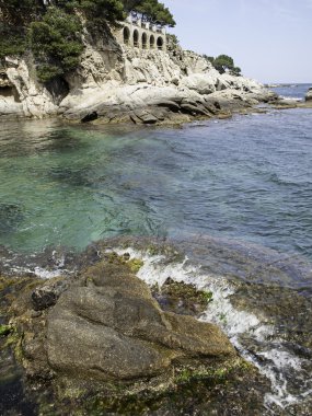 Dalgalar deniz kıyısında