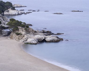 Dalgalar deniz kıyısında