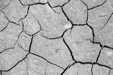 Kuru ve kırık alan