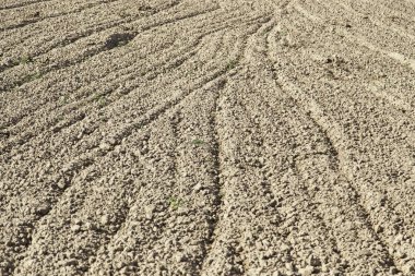 Sürülmüş tarım alanı