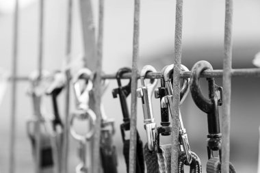 Metal köpek kira kontratı