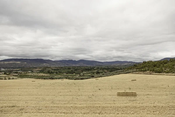 Campos empilhados de palha — Fotografia de Stock