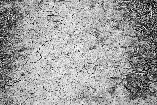 干旱的旱田 — 图库照片