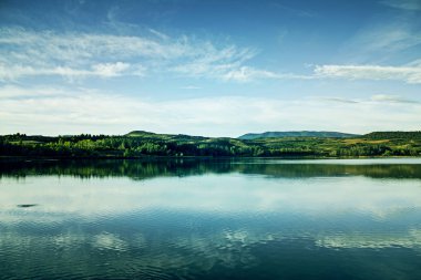 Sonbahar Ağaç Parkı