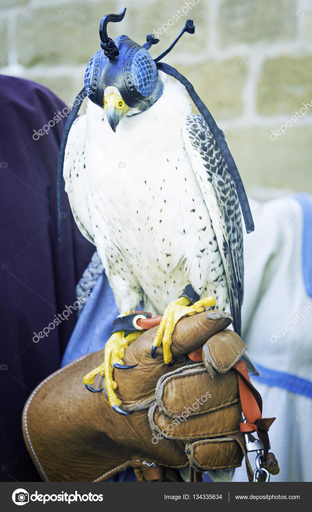 Dunia Lama Kestrel Stok Foto Dunia Lama Kestrel Gambar Bebas Royalti Depositphotos