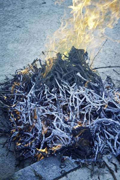 Bonfire burning branches — Stock Photo, Image