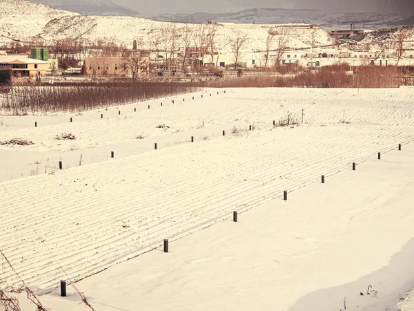 市内での雪 — ストック写真