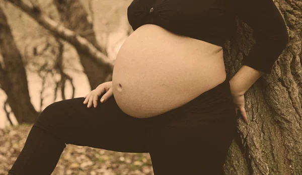 Pregnant woman nature — Stock Photo, Image