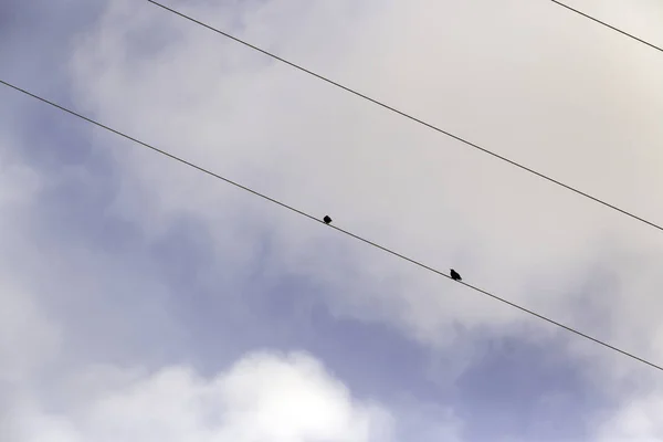 Ptáky migrující přenést — Stock fotografie