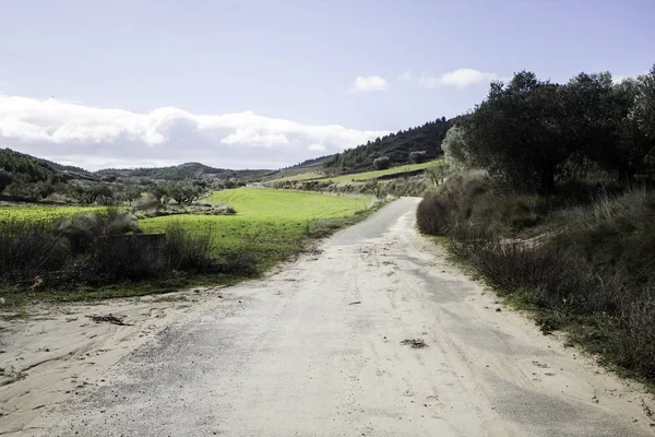 Ağaçlar ile Park — Stok fotoğraf