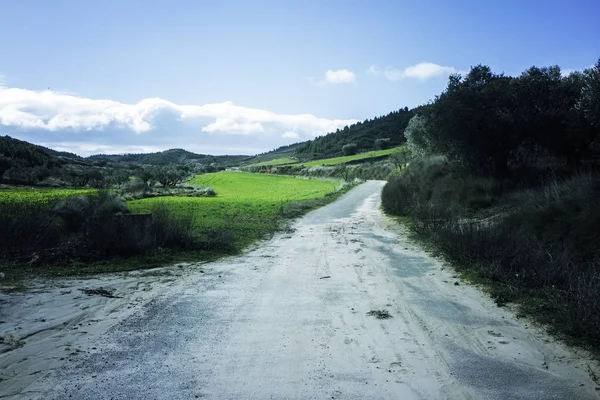 Ağaçlar ile Park — Stok fotoğraf