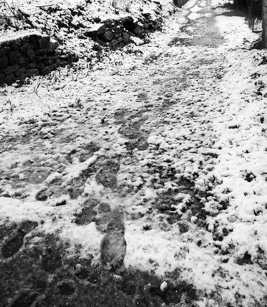 Huellas pies nieve — Foto de Stock