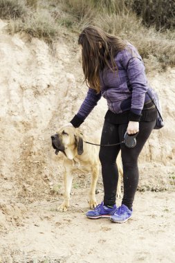 Köpek bloodhound alan