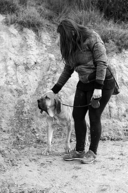 Köpek bloodhound alan