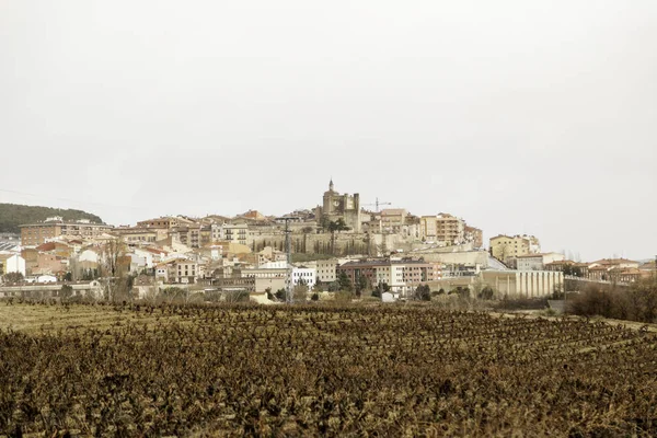 Paisaje del pueblo y viñedos — Foto de Stock