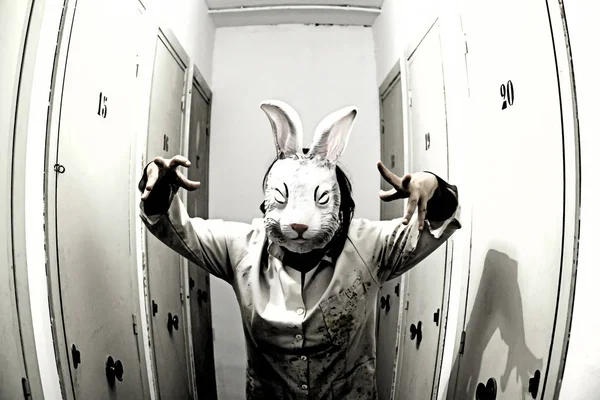 Mulher mascarada coelho — Fotografia de Stock