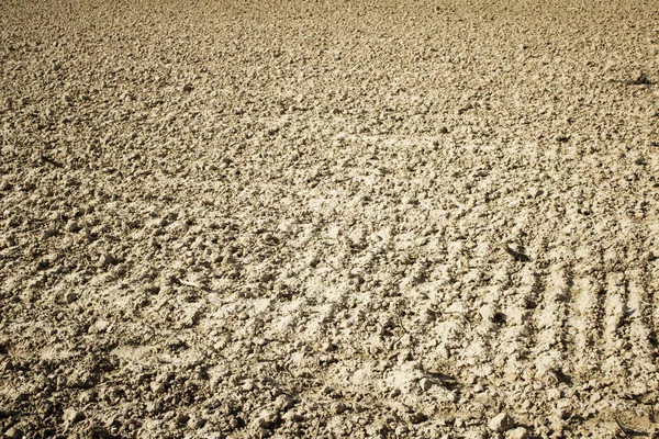 Agriculture plowed field — Stock Photo, Image