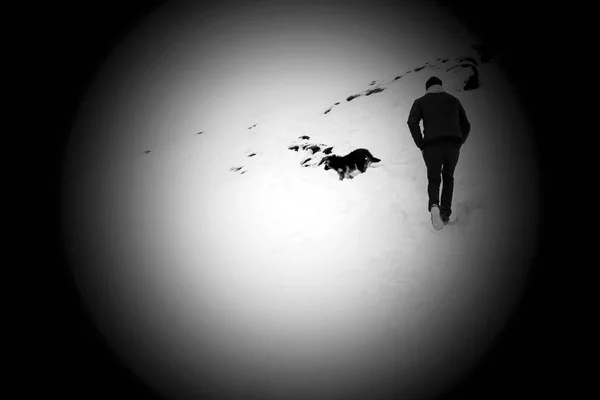 Hombre con nieve de perro — Foto de Stock