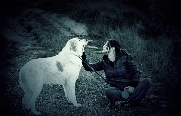 Woman with dog mastiff — Stock Photo, Image