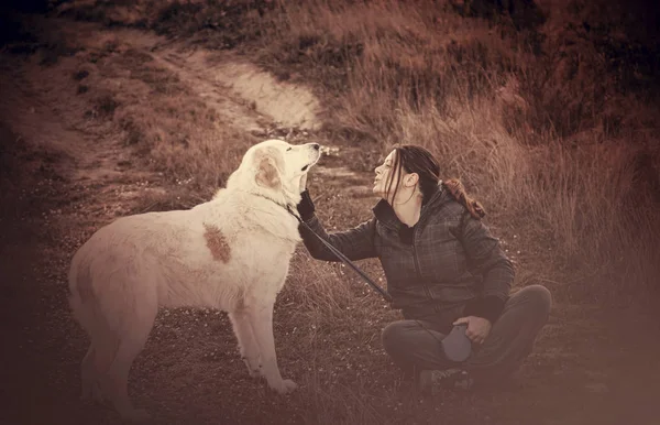 Woman with dog mastiff — Stock Photo, Image